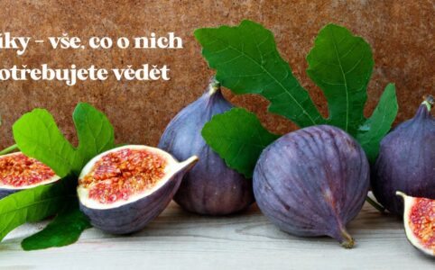 . Slaďoučké a přitom bez přidaného cukru jsou naturální sušené fíky z Turecka a Španělska.